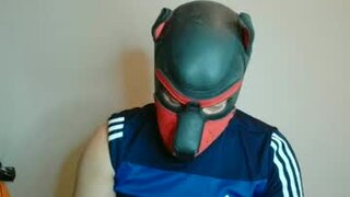 maskpor2022